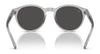 Polo PH4192 Sunglasses | Size 51 / Shiny Dark Green / Light Green (2N 35.1%) №6141/2