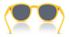 Polo PH4192 Sunglasses | Size 51 / Shiny Dark Green / Light Green (2N 35.1%) №6141/2