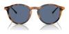 Polo PH4193 Sunglasses | Size 51 / Shiny Red Havana №608980 / Blue (3N 15.2%)