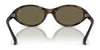 Polo PH4197U Sunglasses | Size 56 / Shiny Havana №5003/3 / Brown (3N 13%)