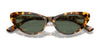 Polo PH4199U Sunglasses | Size 54 / Shiny Black / Dark Grey (3N 10.1%) №500187