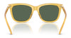 Polo PH4201U Sunglasses | Size 55 / Shiny Black / Dark Grey (3N 10.1%) №500187