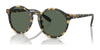 Polo PH4204U Sunglasses / Shiny Tortoise Brown / Dark Green (3N 9.7%) №500471 / Size 50