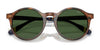 Polo PH4204U Sunglasses / Shiny Black / Dark Grey (3N 12.4%) №538587 / Size 50