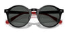 Polo PH4204U Sunglasses / Shiny Black / Dark Grey (3N 12.4%) №538587 / Size 50