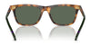 Polo PH4205U Sunglasses | Size 56 / Shiny Red Havana / Dark Green (3N 9.7%) №608971