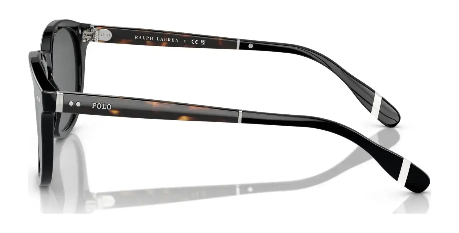 Polo PH4206 Sunglasses | Size 52 Polo PH4206 Sunglasses | Size 52