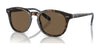 Polo PH4206 Sunglasses | Size 52 / Shiny Dark Havana / Brown (3N 13.3%) №500373