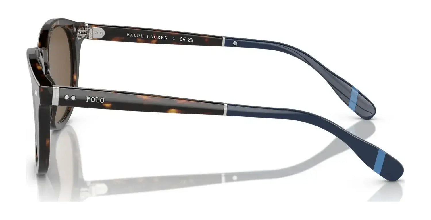 Polo PH4206 Sunglasses | Size 52 Polo PH4206 Sunglasses | Size 52