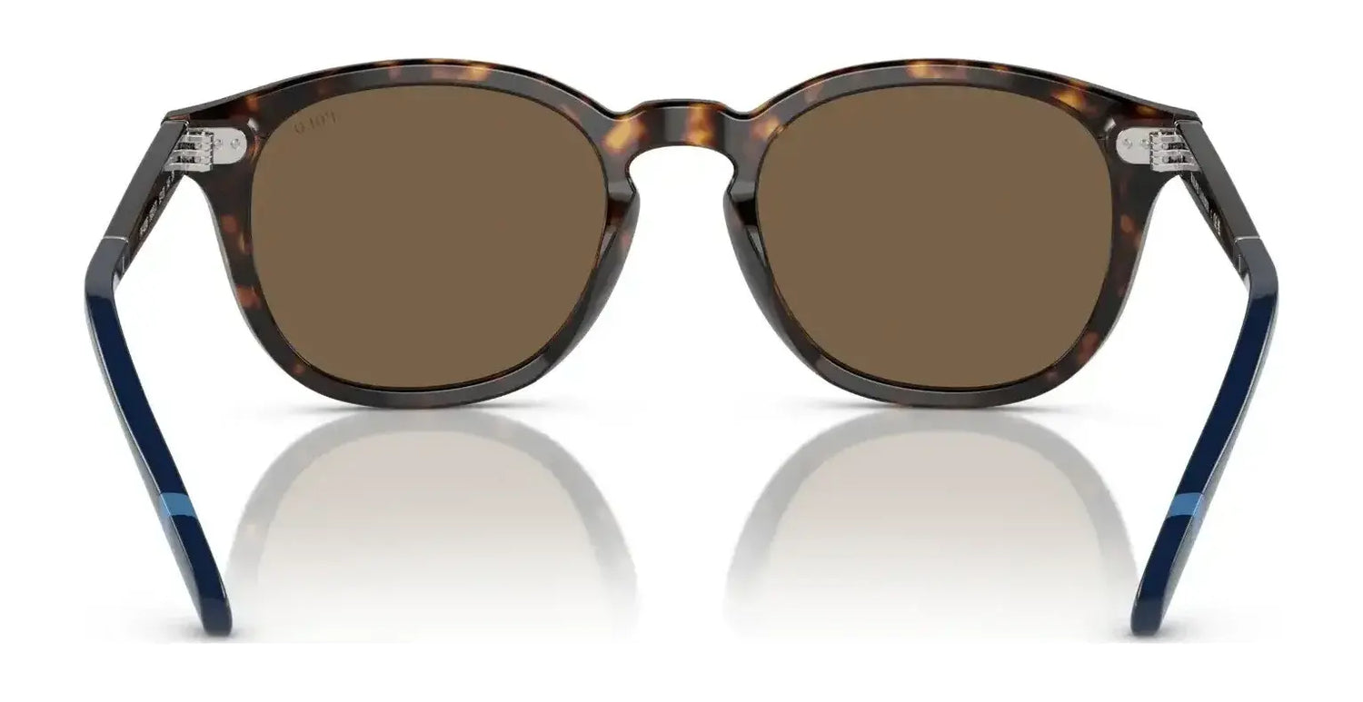 Polo PH4206 Sunglasses | Size 52 Polo PH4206 Sunglasses | Size 52