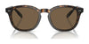 Polo PH4206 Sunglasses | Size 52 / Shiny Black / Dark Grey (3N 12.4%) №500187
