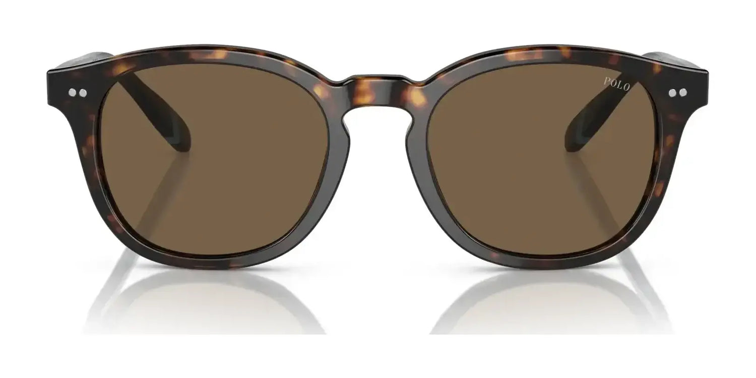 Polo PH4206 Sunglasses | Size 52 Polo PH4206 Sunglasses | Size 52