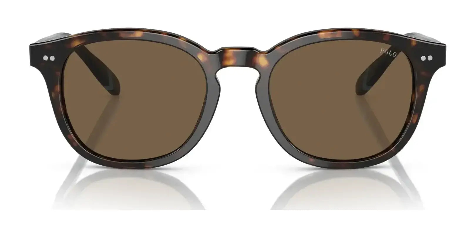 Polo PH4206 Sunglasses | Size 52 Polo PH4206 Sunglasses | Size 52