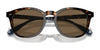 Polo PH4206 Sunglasses | Size 52 / Shiny Black / Dark Grey (3N 12.4%) №500187