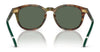 Polo PH4206 Sunglasses | Size 52 / Shiny Black / Dark Grey (3N 12.4%) №500187