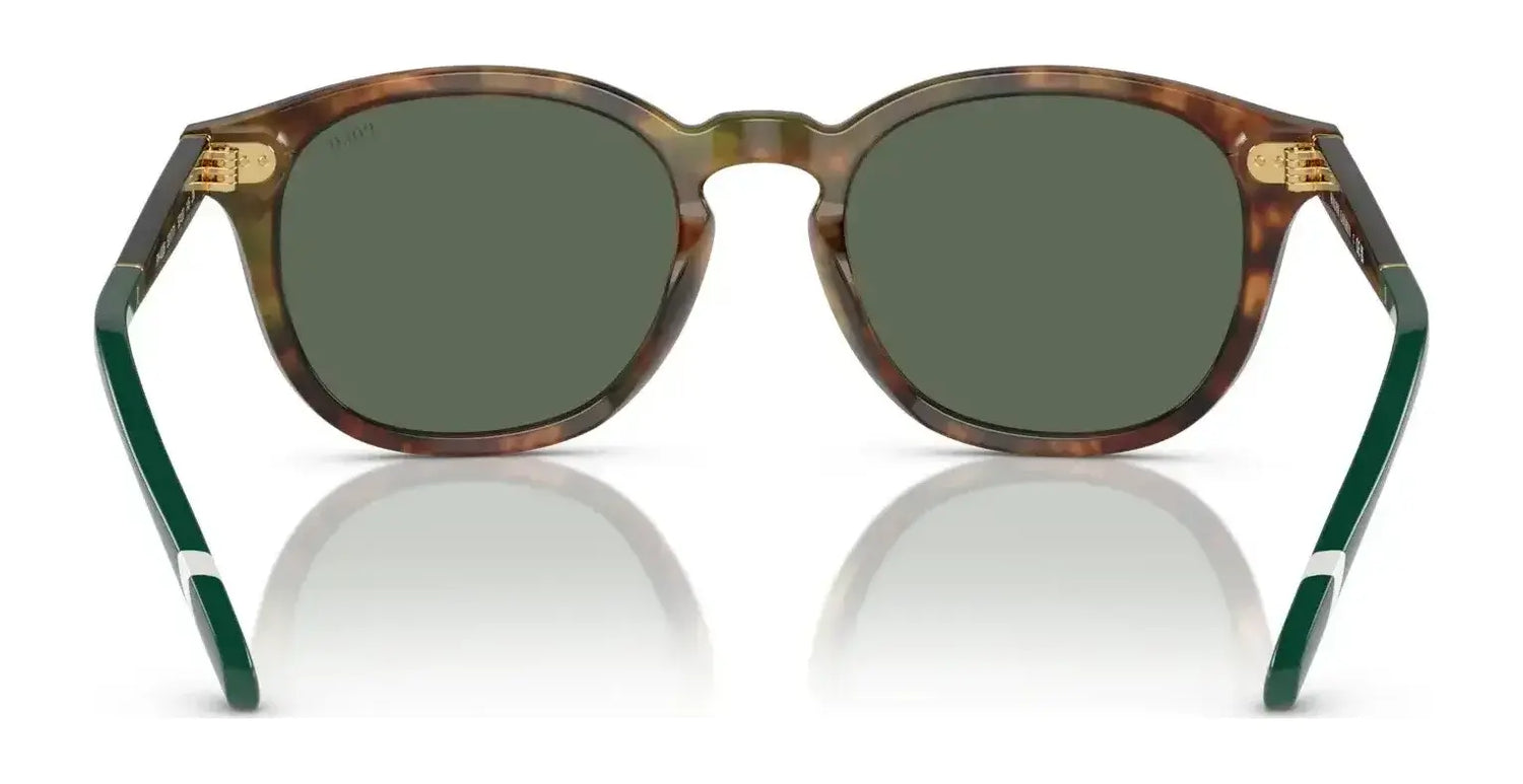 Polo PH4206 Sunglasses | Size 52 Polo PH4206 Sunglasses | Size 52