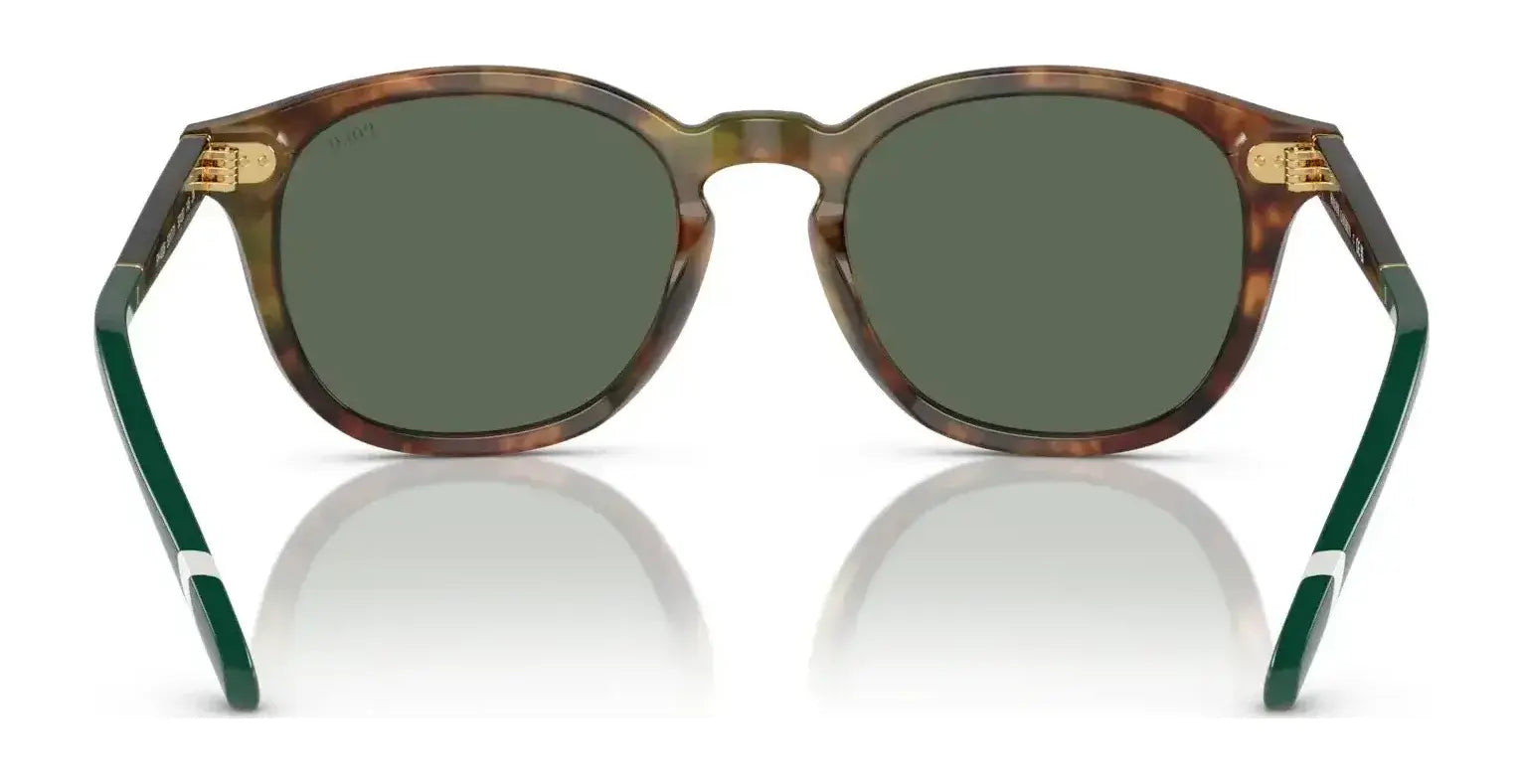 Polo PH4206 Sunglasses | Size 52 Polo PH4206 Sunglasses | Size 52