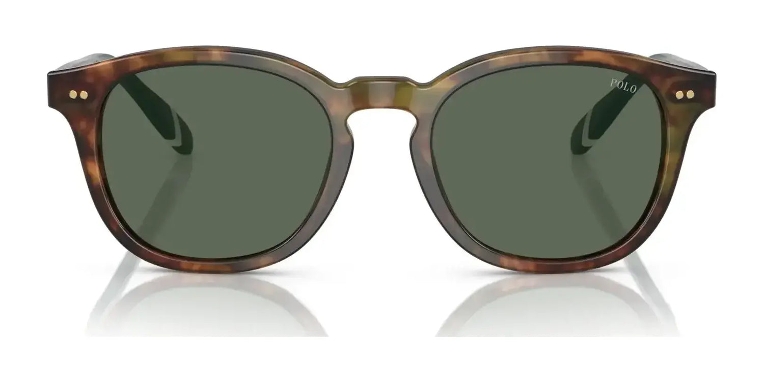 Polo PH4206 Sunglasses | Size 52 Polo PH4206 Sunglasses | Size 52