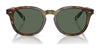 Polo PH4206 Sunglasses | Size 52 / Shiny Black / Dark Grey (3N 12.4%) №500187