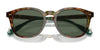Polo PH4206 Sunglasses | Size 52 / Shiny Black / Dark Grey (3N 12.4%) №500187