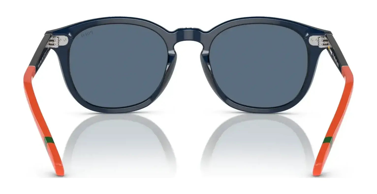 Polo PH4206 Sunglasses | Size 52 Polo PH4206 Sunglasses | Size 52