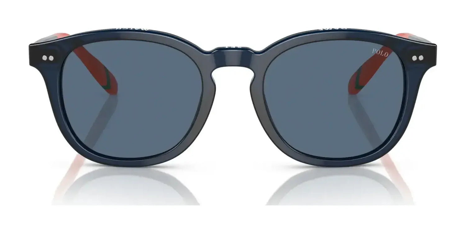 Polo PH4206 Sunglasses | Size 52 Polo PH4206 Sunglasses | Size 52