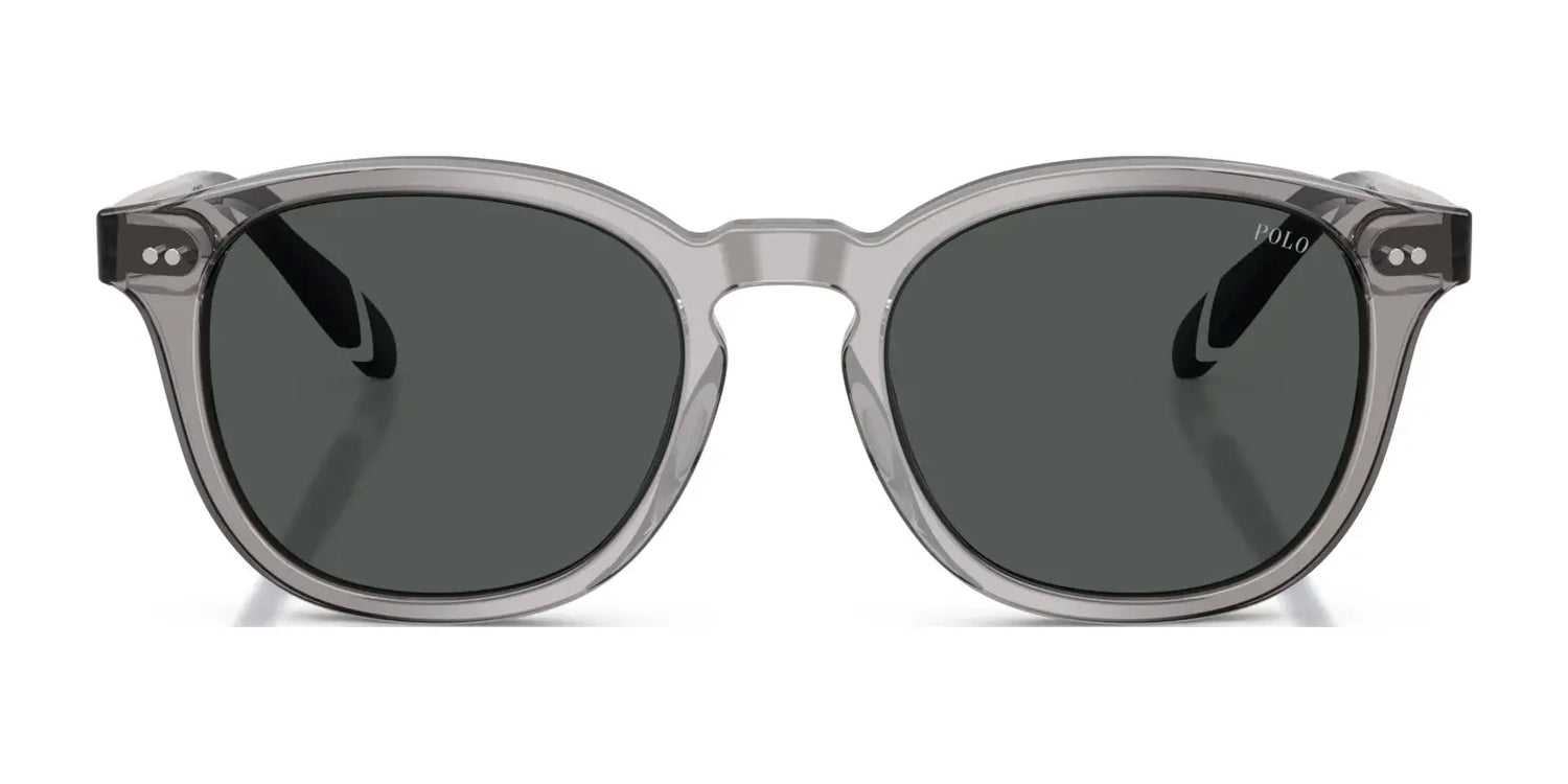 Polo PH4206 Sunglasses | Size 52 Polo PH4206 Sunglasses | Size 52