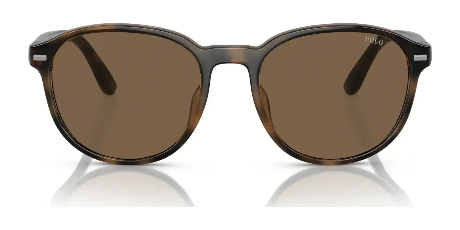 Polo PH4207U Sunglasses | Size 54 Polo PH4207U Sunglasses | Size 54