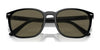 Polo PH4208U Sunglasses | Size 55 / Shiny Black / Brown (3N 14.3%) №5001/3