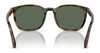 Polo PH4208U Sunglasses | Size 55 / Shiny Black / Brown (3N 14.3%) №5001/3