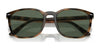Polo PH4208U Sunglasses | Size 55 / Shiny Black / Brown (3N 14.3%) №5001/3