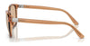 Polo PH4208U Sunglasses | Size 55 / Shiny Black / Brown (3N 14.3%) №5001/3