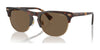 Polo PH4213 Sunglasses | Size 54 / Shiny Brown Tortoise / Brown (3N 13.3%) №613773
