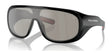 Polo PH4215U Sunglasses Shiny Black / Light Grey Mirror Silver Polo PH4215U Sunglasses Shiny Black / Light Grey Mirror Silver