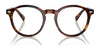 Polo PH4218 Eyeglasses with Sun-clips | Size 51 / Shiny Brown Tortoise / Bottle Green (3N 9.7%) №613771