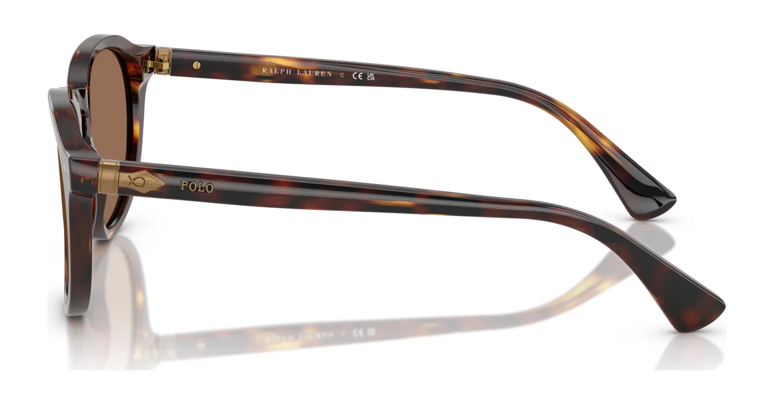 Polo PH4221 Sunglasses | Size 52 Polo PH4221 Sunglasses | Size 52