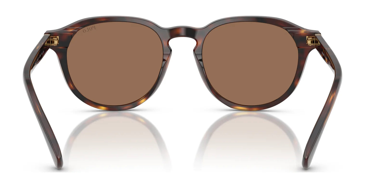 Polo PH4221 Sunglasses | Size 52 Polo PH4221 Sunglasses | Size 52