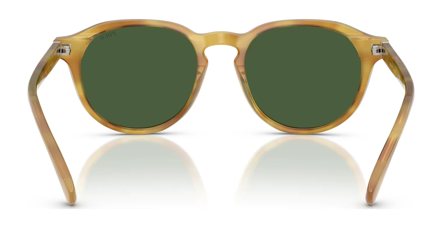 Polo PH4221 Sunglasses | Size 52 Polo PH4221 Sunglasses | Size 52