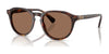 Polo PH4221F Sunglasses | Size 52 / Shiny Brown Tortoise / Dark Brown (3N 13.3%) №613773