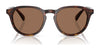 Polo PH4221F Sunglasses | Size 52 / Shiny Black / Dark Grey (3N 12.4%) №500187