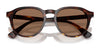Polo PH4221F Sunglasses | Size 52 / Shiny Black / Dark Grey (3N 12.4%) №500187