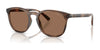 Polo PH4222U Sunglasses | Size 52 / Shiny Dark Havana / Dark Brown (3N 13.3%) №597473