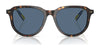 Polo PH4225 Sunglasses | Size 53 / Shiny Dark Green / Dark Brown (3N 13.3%) №542173