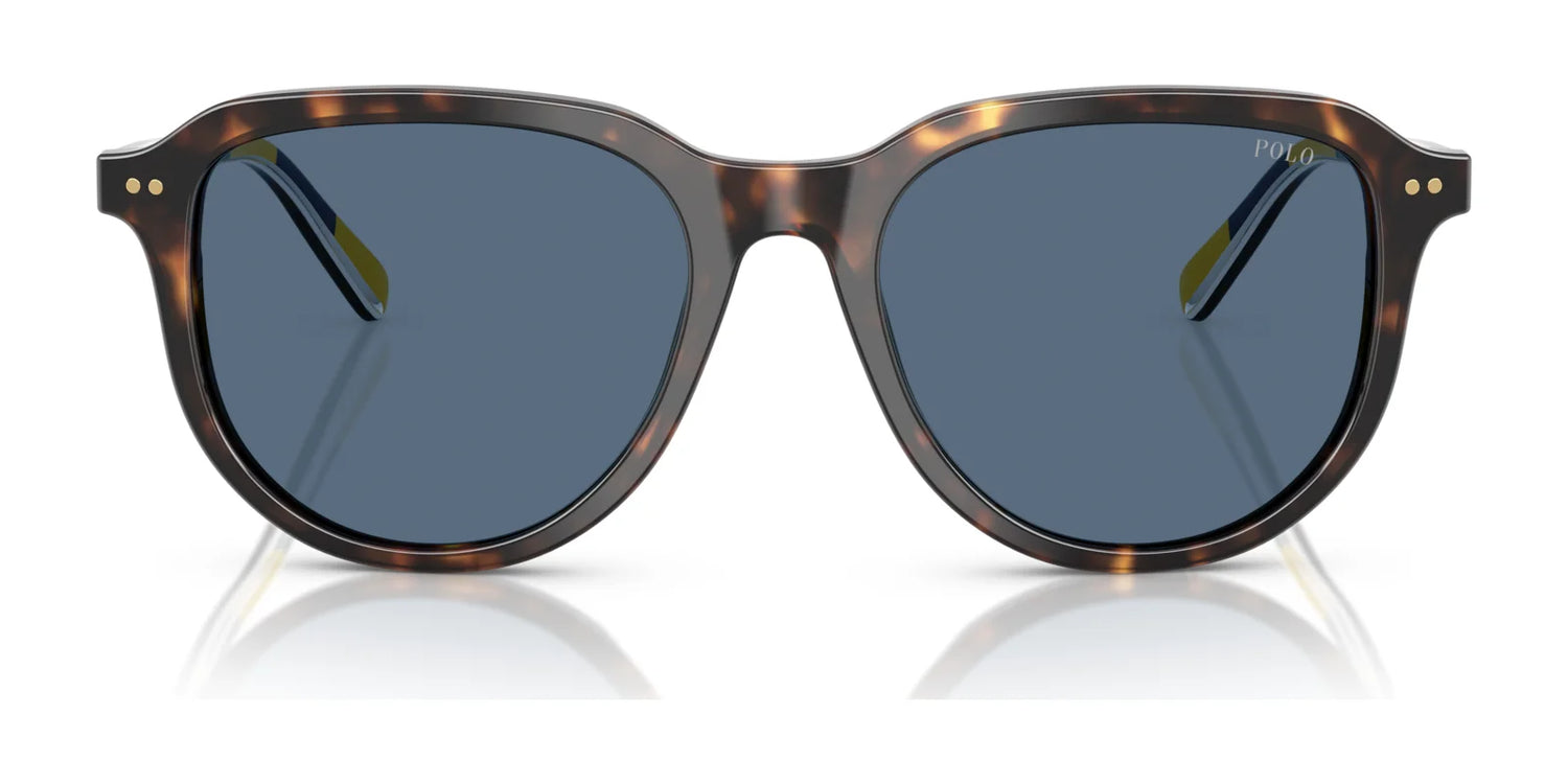 Polo PH4225 Sunglasses | Size 53 Polo PH4225 Sunglasses | Size 53