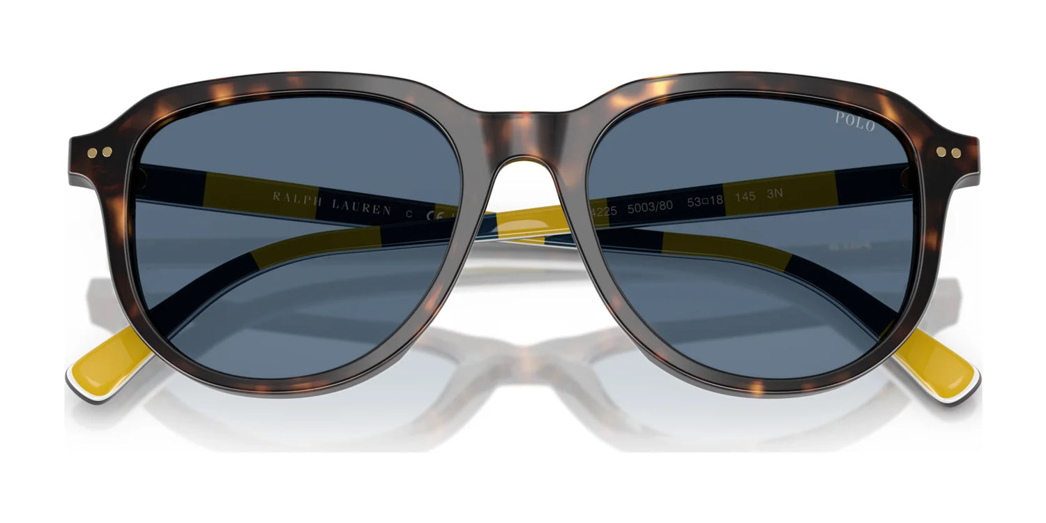 Polo PH4225 Sunglasses | Size 53 Polo PH4225 Sunglasses | Size 53