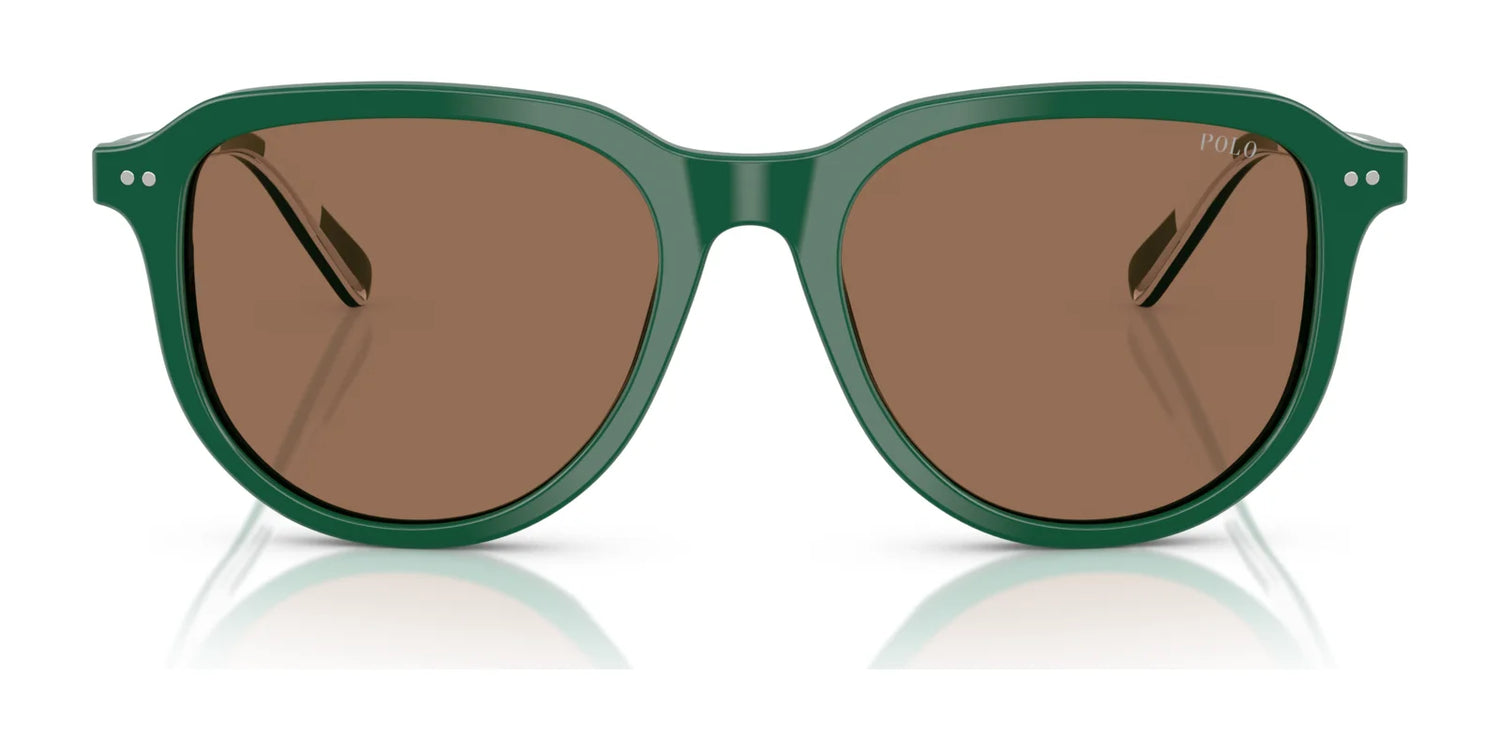 Polo PH4225 Sunglasses | Size 53 Polo PH4225 Sunglasses | Size 53