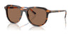 Polo PH4225 Sunglasses | Size 53 / Shiny Dark Havana / Dark Brown (3N 13.3%) №613773