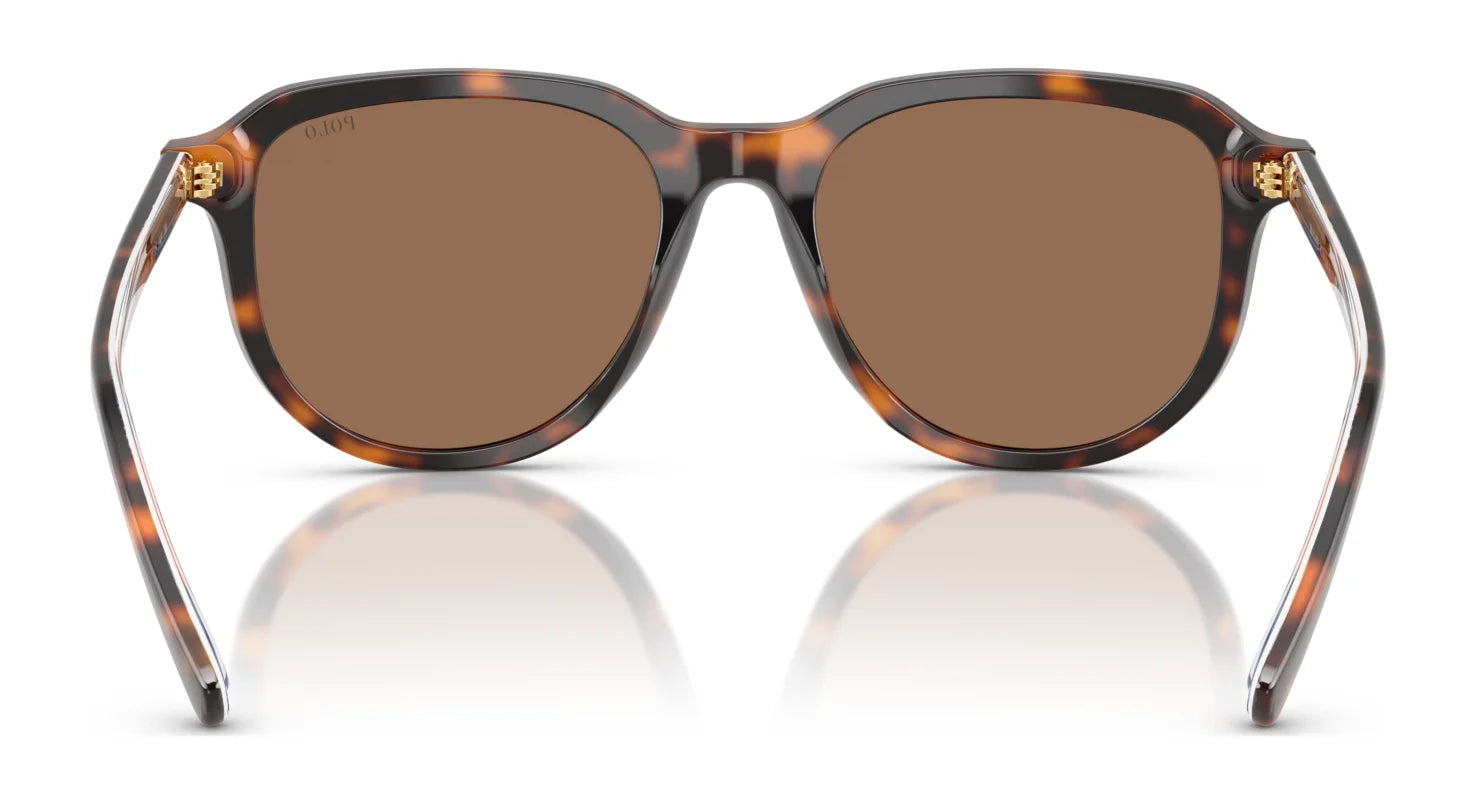 Polo PH4225 Sunglasses | Size 53 Polo PH4225 Sunglasses | Size 53