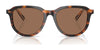 Polo PH4225 Sunglasses | Size 53 / Shiny Dark Green / Dark Brown (3N 13.3%) №542173
