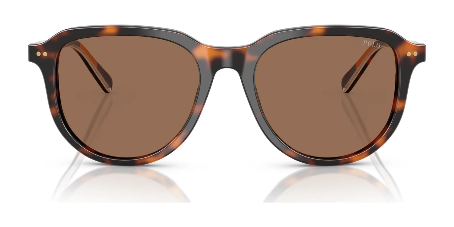 Polo PH4225 Sunglasses | Size 53 Polo PH4225 Sunglasses | Size 53